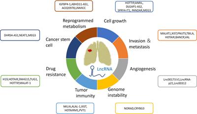 The Emerging Roles of Long Noncoding RNAs as Hallmarks of Lung Cancer